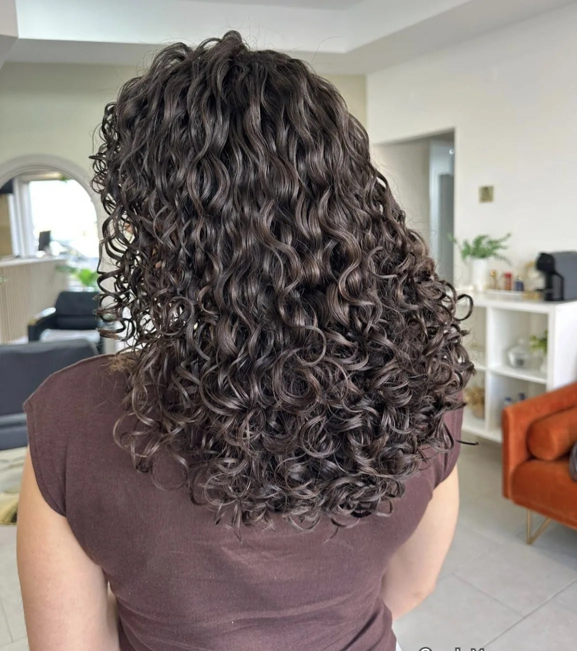 Resultado de cabelo cacheado escuro com cachos definidos visto de costas